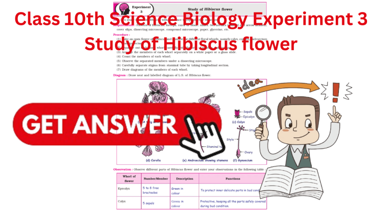 Class 10th Science Biology Experiment 3  Study of Hibiscus flower