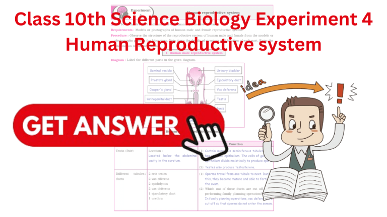 Class 10th Science Biology Experiment 4 Human Reproductive system