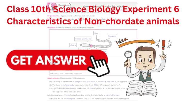 Class 10th Science Biology Experiment 6 Characteristics of Non-chordate animals