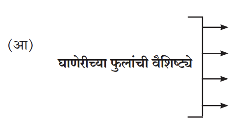 घाणेरीच्या फुलांची वैशिष्ट्ये

