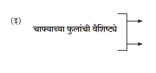 चाफ्याच्या फुलांची वैशिष्ट्ये

